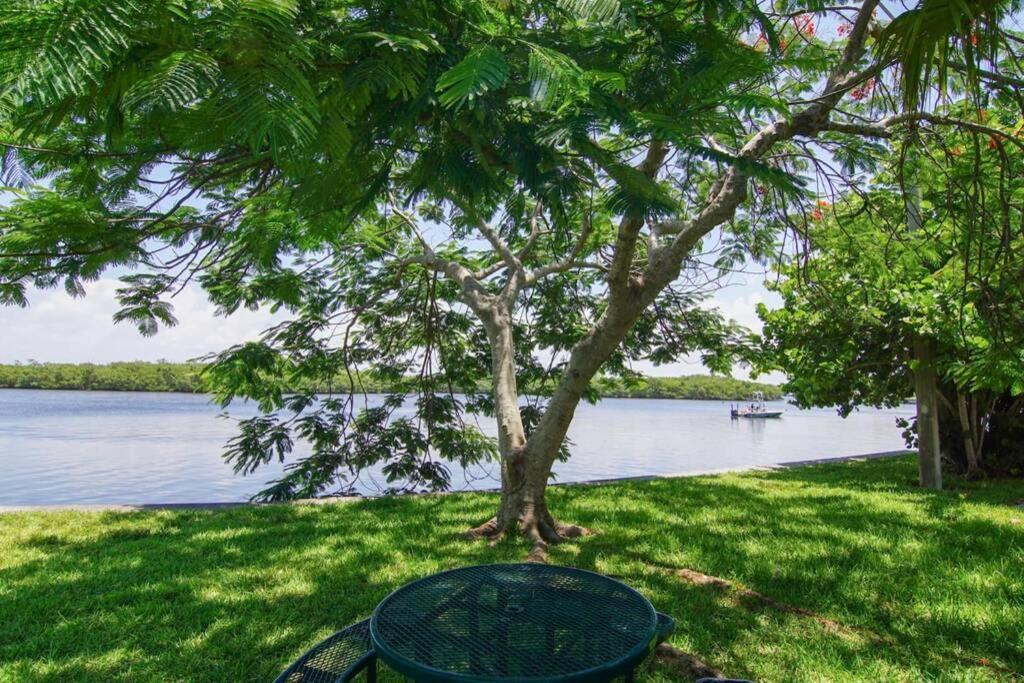 River Delight,Studio109, Beach & Pool Steps Away + Wifi 러스킨 외부 사진