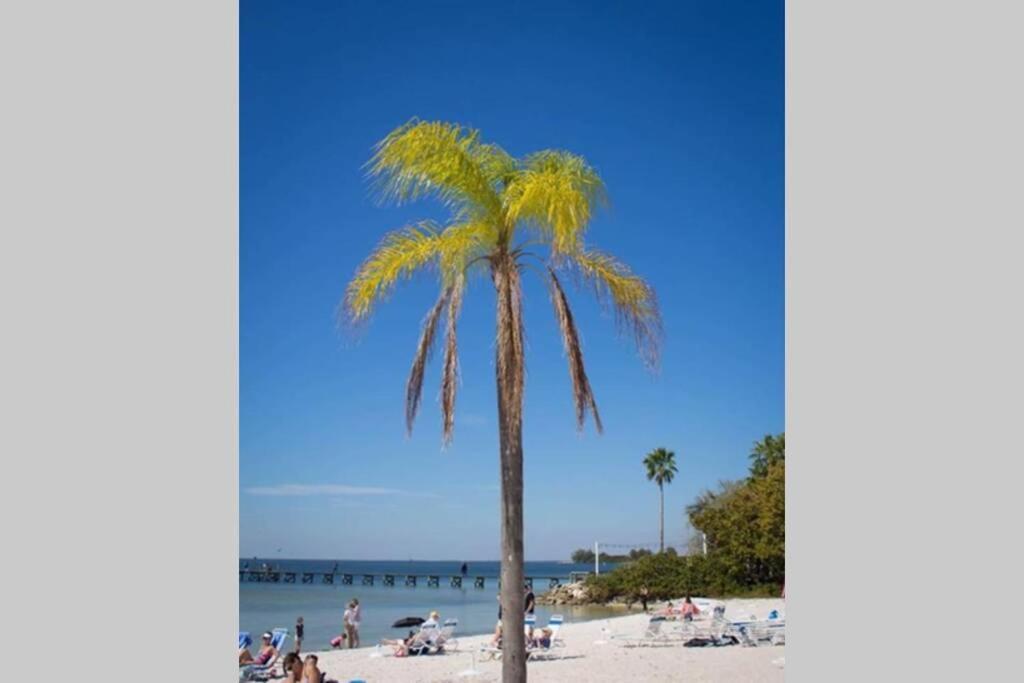 River Delight,Studio109, Beach & Pool Steps Away + Wifi 러스킨 외부 사진